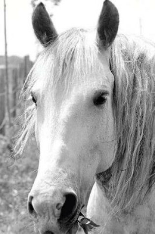 Cover of Equine Journal Horse With Grass