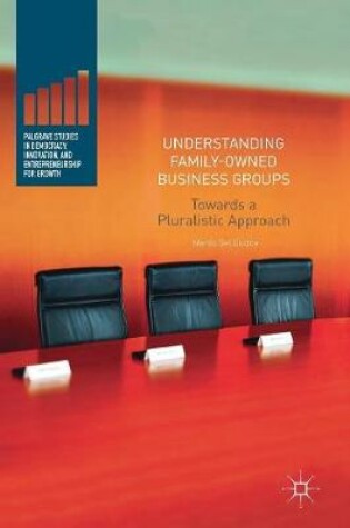 Cover of Understanding Family-Owned Business Groups