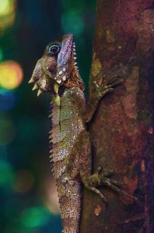 Cover of Tree Lizard Notebook