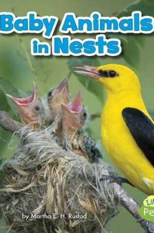 Cover of Baby Animals in Nests