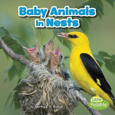 Book cover for Baby Animals in Nests