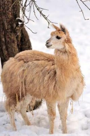 Cover of An Alpaca in the Snow Journal