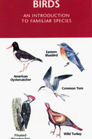 Cover of Massachusetts Birds