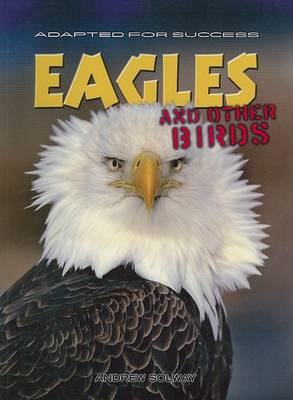 Book cover for Eagles and Other Birds