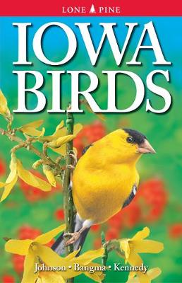 Book cover for Iowa Birds