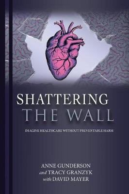 Book cover for Shattering the Wall