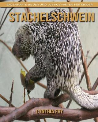 Book cover for Stachelschwein