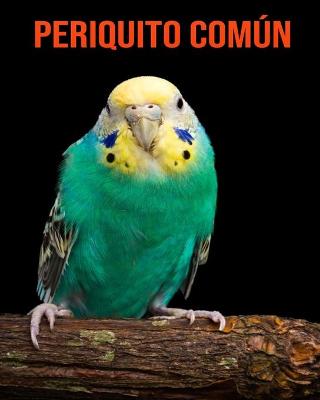 Book cover for Periquito común