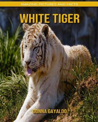 Book cover for White Tiger