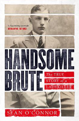 Book cover for Handsome Brute