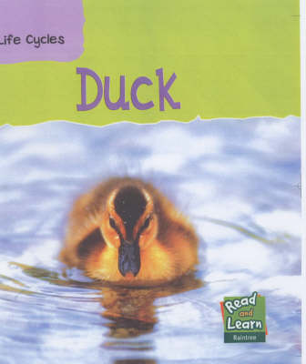 Book cover for Duck