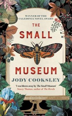 Book cover for The Small Museum