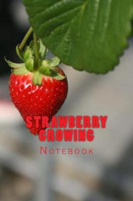 Book cover for Strawberry Growing