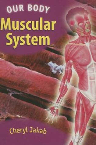 Cover of Us Muscular System Our Body