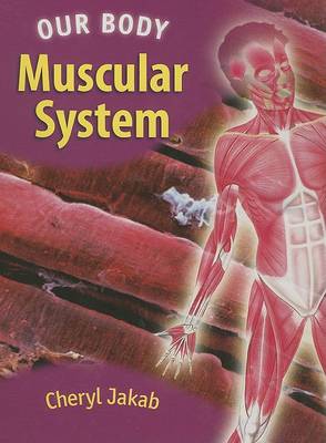 Book cover for Us Muscular System Our Body