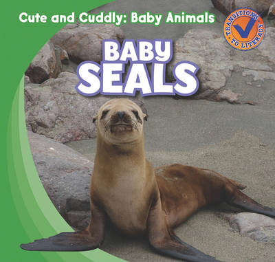 Book cover for Baby Seals