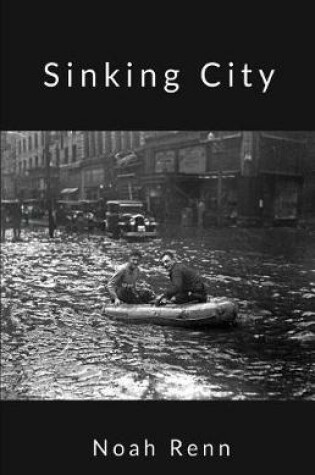 Cover of Sinking City