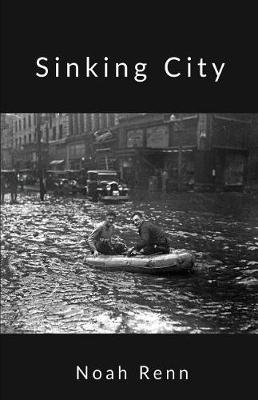 Book cover for Sinking City