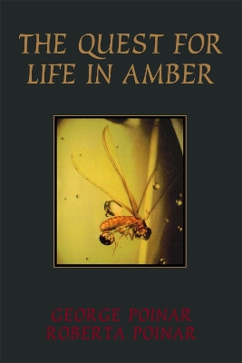 Book cover for The Quest For Life In Amber