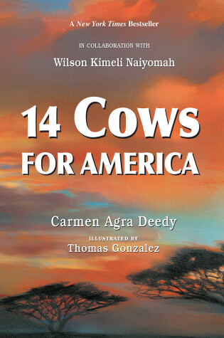 Cover of 14 Cows for America