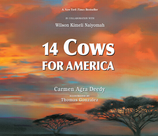 Book cover for 14 Cows for America