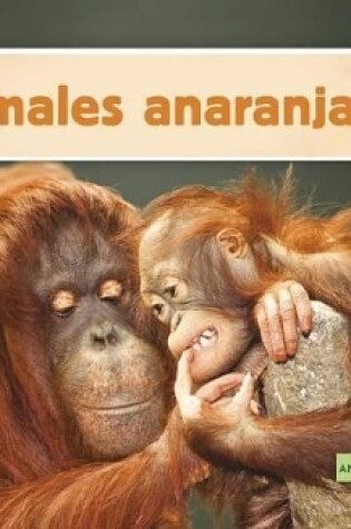 Cover of Animales Anaranjados