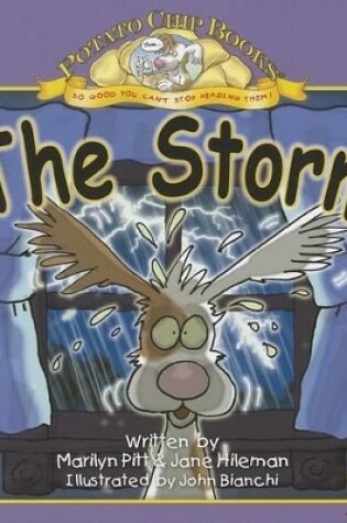 Cover of The Storm