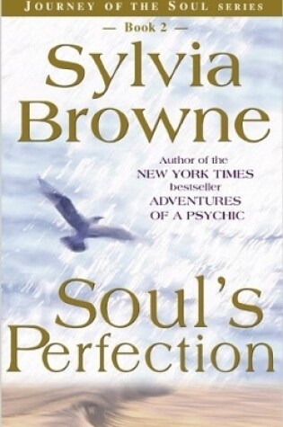 Cover of Soul's Perfection