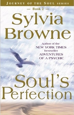 Book cover for Soul's Perfection