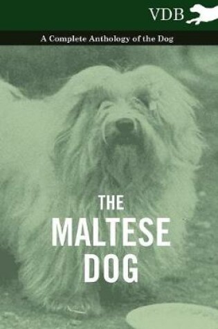 Cover of The Maltese Dog A Complete Anthology of the Dog