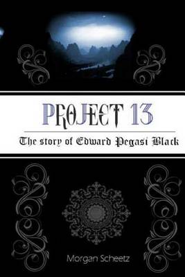 Book cover for Project 13