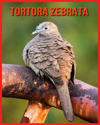 Book cover for Tortora Zebrata