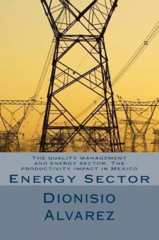 Cover of The quality management and energy sector. The productivity impact in Mexico