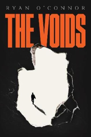 Cover of The Voids