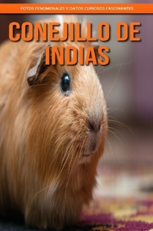 Cover of Conejillo de indias