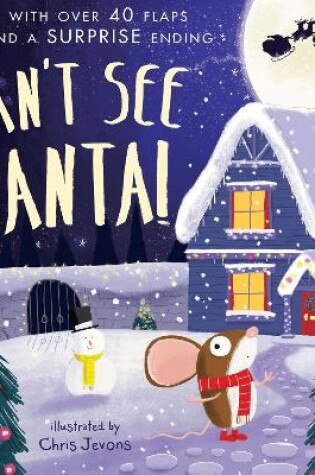 Cover of Can't See Santa!