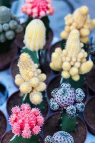 Cover of Pink, Yellow, and Green Mini Cacti Notebook