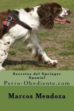 Cover of Secretos del Springer Spaniel