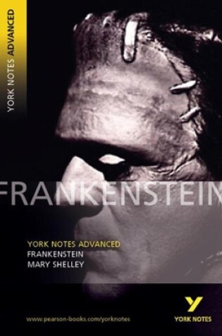 Cover of YNA2 Frankenstein