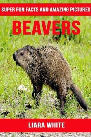 Cover of Beavers