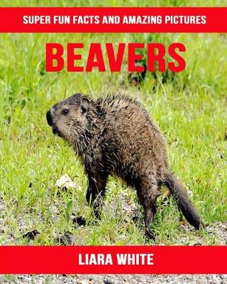 Book cover for Beavers