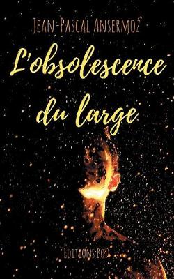 Book cover for L'obsolescence du large