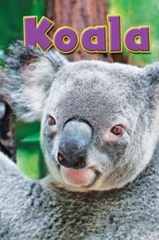 Cover of Koala