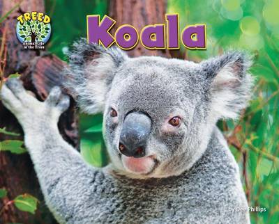 Cover of Koala