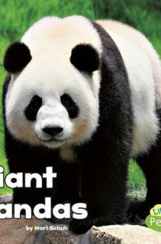 Cover of Black and White Animals Giant Pandas