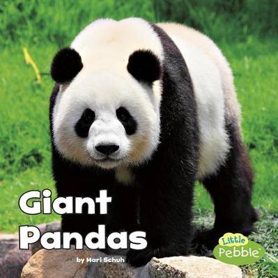 Book cover for Black and White Animals Giant Pandas