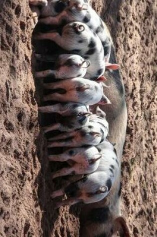 Cover of A Bunch of Piglets Getting Milk Journal