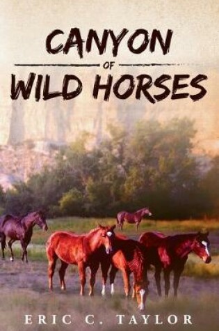 Cover of Canyon of Wild Horses