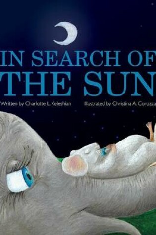 Cover of In Search of the Sun