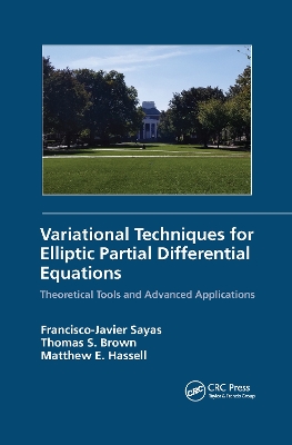 Book cover for Variational Techniques for Elliptic Partial Differential Equations